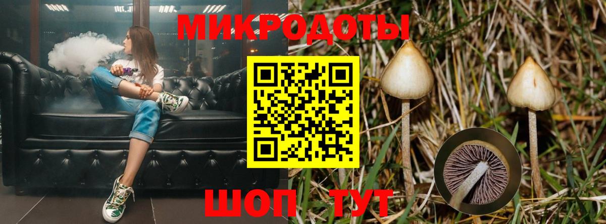 Галлюциногенные грибы Cubensis  Галлюциногенные грибы мухоморы  Королёв  Вход с VPN 