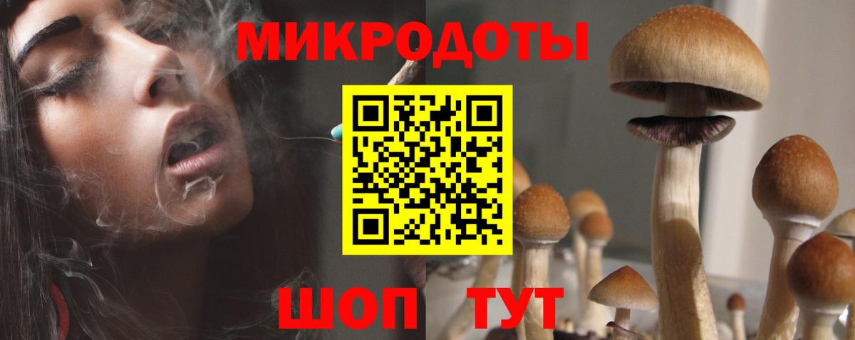 Галлюциногенные грибы прущие грибы Королёв