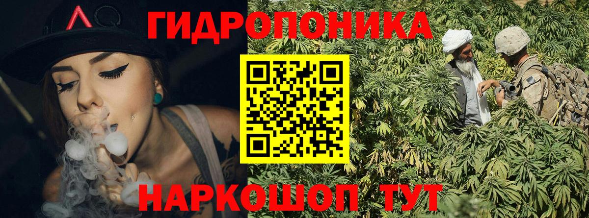 Каннабис марихуана  Бошки марихуана план  Вход с VPN  МАРИХУАНА LSD WEED  Королёв 
